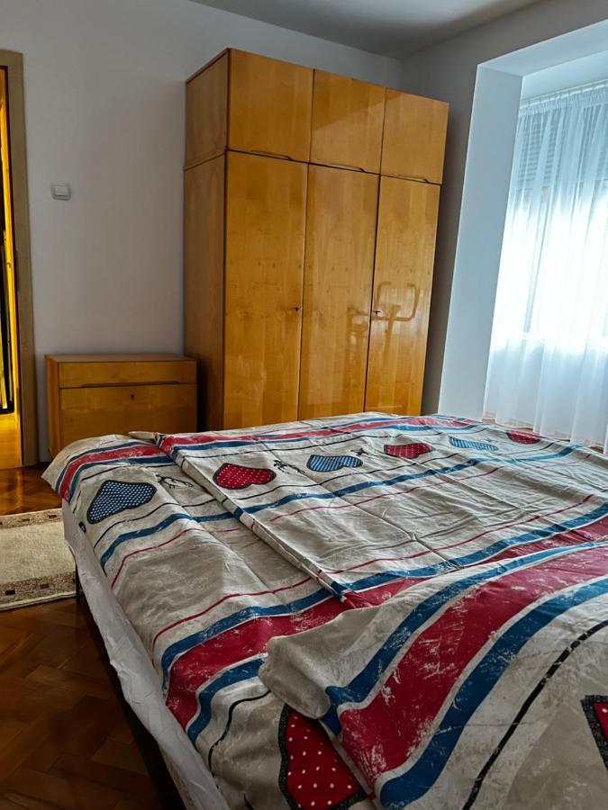 Noreea Central Apartment Timisoara Esterno foto