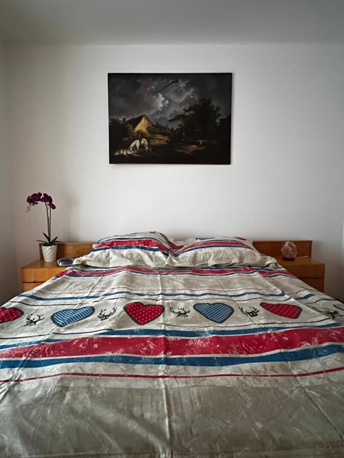 Noreea Central Apartment Timisoara Esterno foto