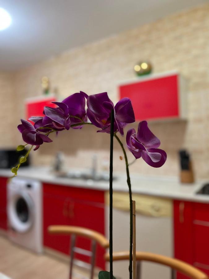 Noreea Central Apartment Timisoara Esterno foto