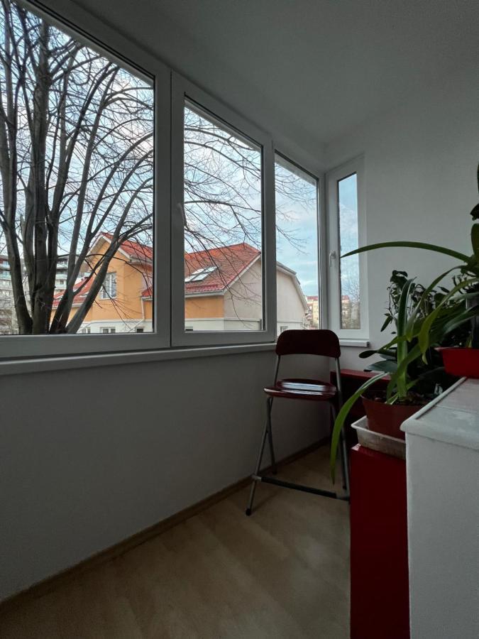 Noreea Central Apartment Timisoara Esterno foto